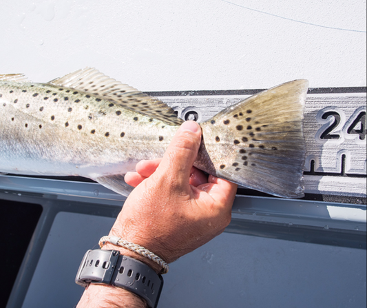 Next_Level_SeaDek® Fish Ruler image